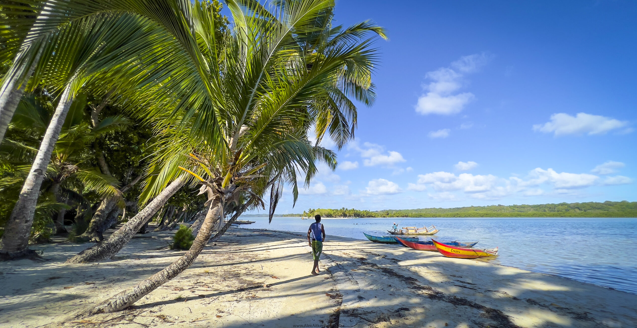 Madagascar, red island, island life, Lemurs, Chameleons, Helmet Vanga, Indri Indri, singing lemurs, forests, Tropical Paradise, Ile sainte Marie, Ile Aux Nattes, Andasebe, Morondava, Kirindy Forest, Mouse Lemurs, Holiday Destination, Endemic Species, Alex Aitkenhead