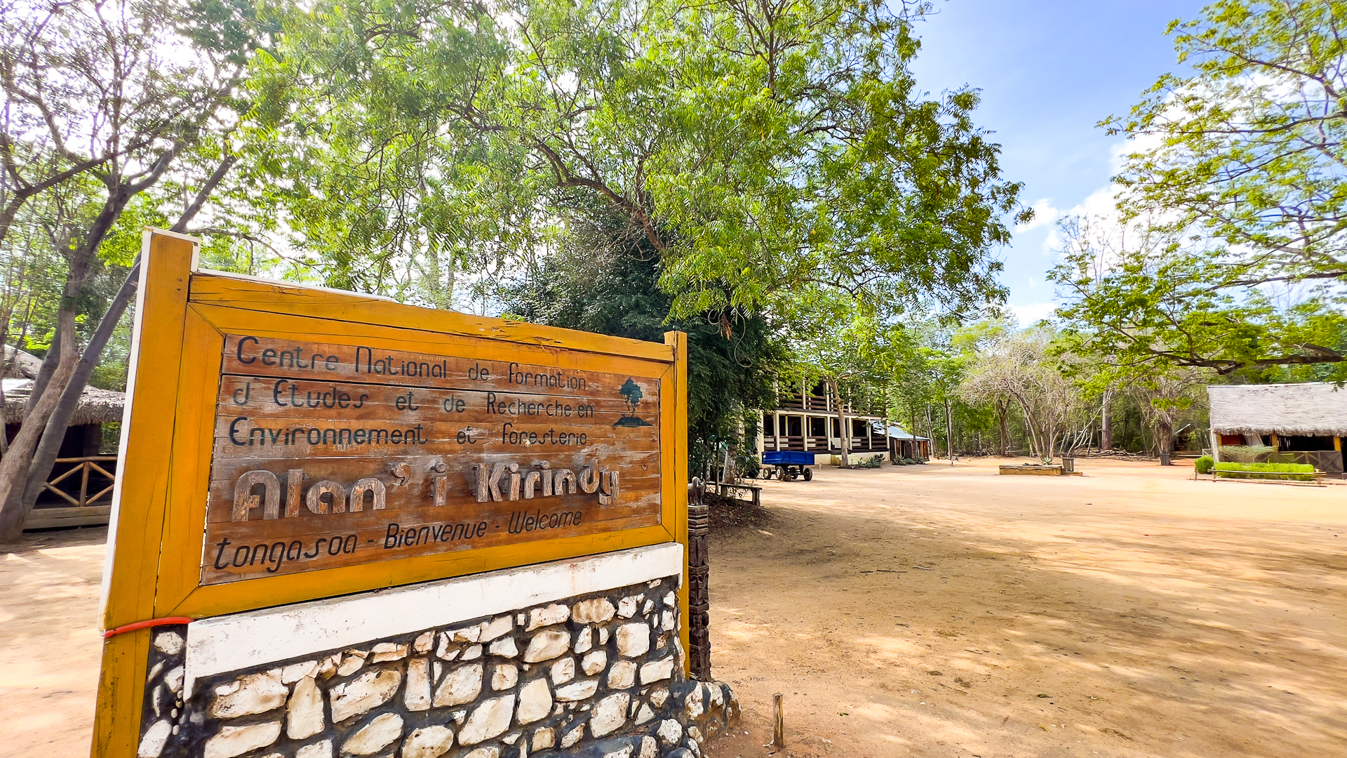 Madagascar, red island, island life, Lemurs, Chameleons, Helmet Vanga, Indri Indri, singing lemurs, forests, Tropical Paradise, Ile sainte Marie, Ile Aux Nattes, Andasebe, Morondava, Kirindy Forest, Mouse Lemurs, Holiday Destination, Endemic Species, Alex Aitkenhead