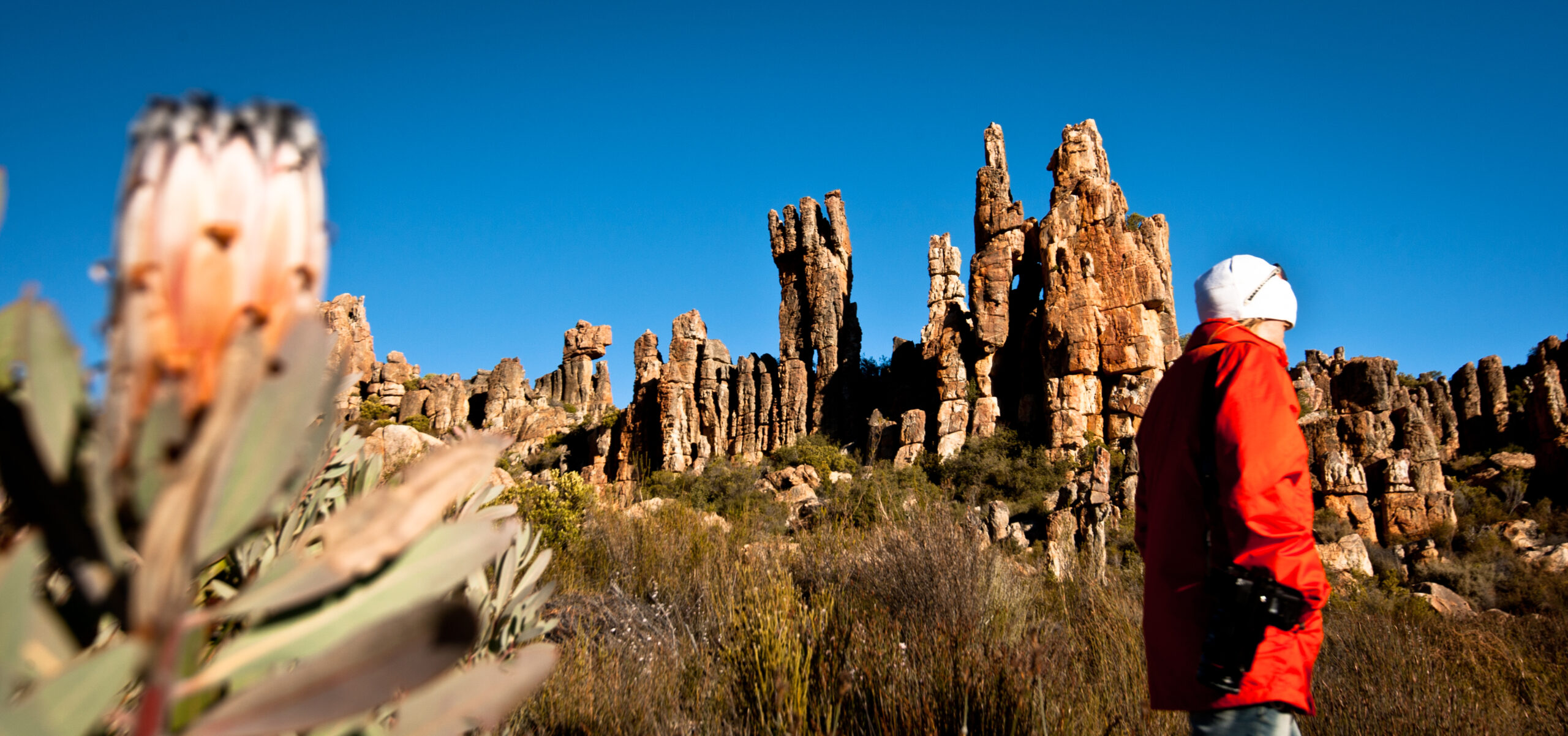 Cederberg, Wolfberg Arch, Wolfberg Cracks, Driehiek, Kromrivier, Sanddrif, Secret Cederberg, Mount Ceder, Truitjieskraal, Saalmanlagte, Savilla Rock Art Trail, Rocklands, Travellers Rest, Rock Climbing , San Rock Art, Maltese Cross, Dwars Revier, Groot Revier, Sanstone Rock Formations, Star Gazing, Cederberg Wilderness, Cape Nature Cederberg, Algeria, Alex Aitkenhead
