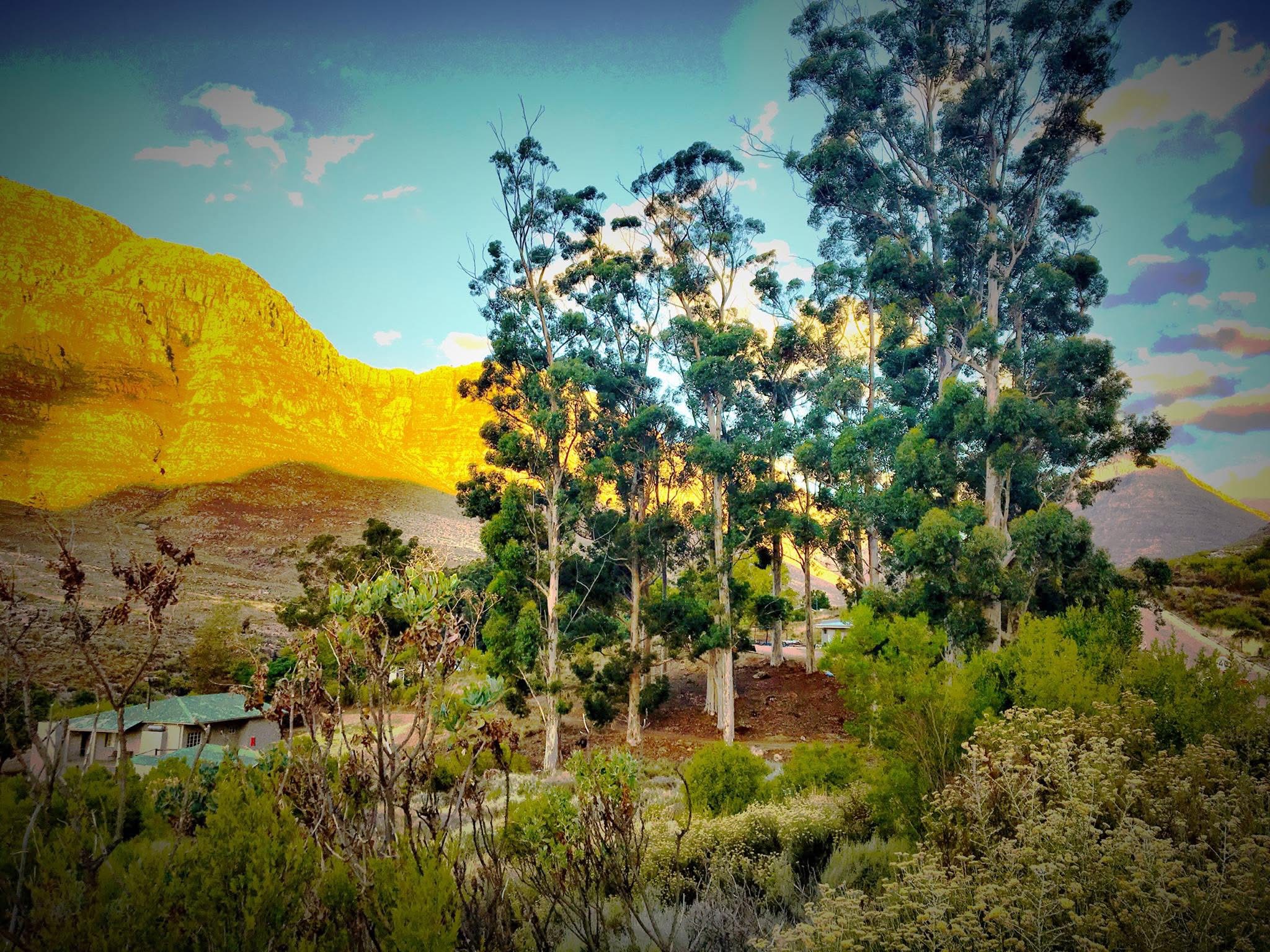 Cederberg, Wolfberg Arch, Wolfberg Cracks, Driehiek, Kromrivier, Sanddrif, Secret Cederberg, Mount Ceder, Truitjieskraal, Saalmanlagte, Savilla Rock Art Trail, Rocklands, Travellers Rest, Rock Climbing , San Rock Art, Maltese Cross, Dwars Revier, Groot Revier, Sanstone Rock Formations, Star Gazing, Cederberg Wilderness, Cape Nature Cederberg, Algeria, Alex Aitkenhead, Valley of the Red Gods