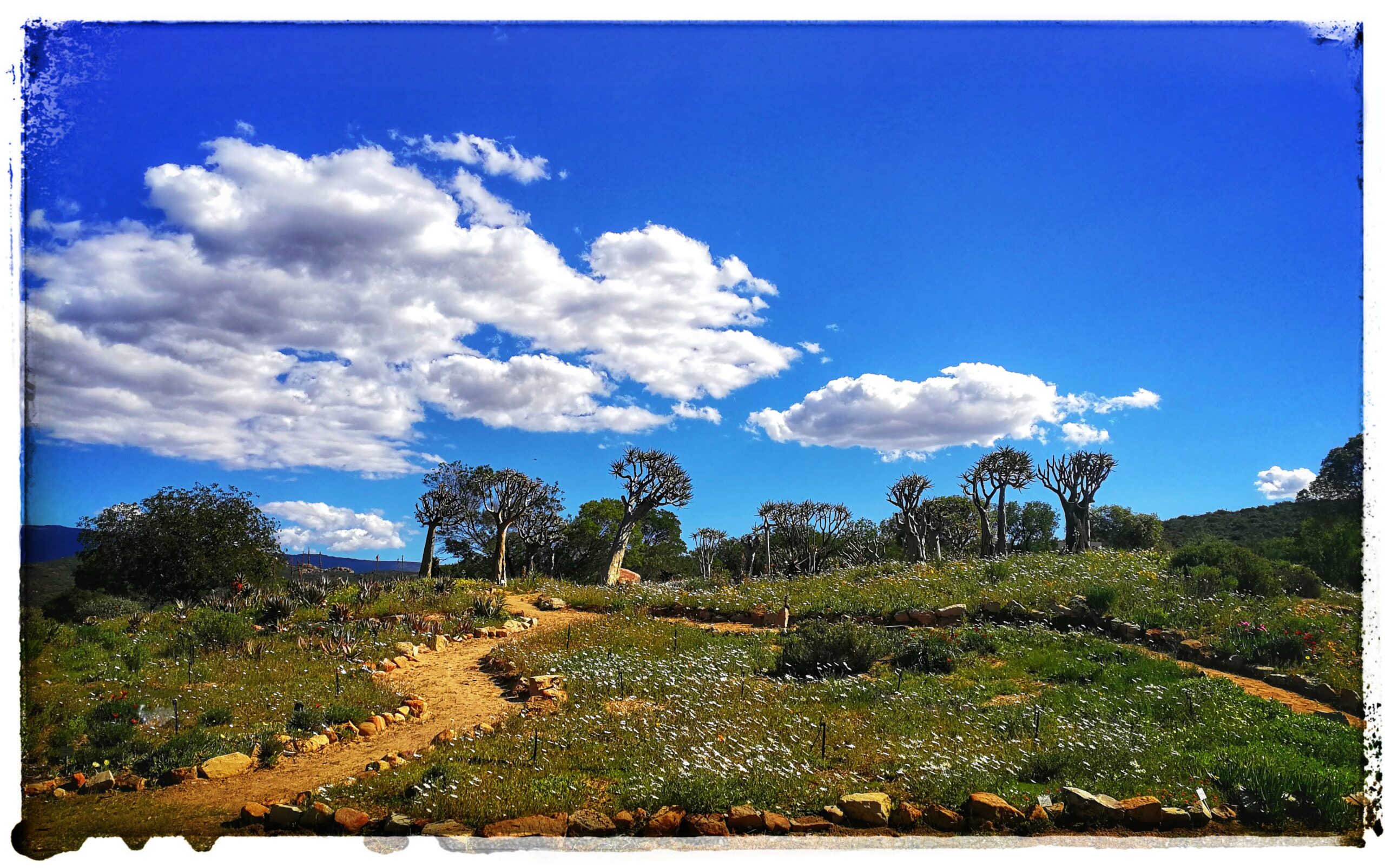 Cederberg, Wolfberg Arch, Wolfberg Cracks, Driehiek, Kromrivier, Sanddrif, Secret Cederberg, Mount Ceder, Truitjieskraal, Saalmanlagte, Savilla Rock Art Trail, Rocklands, Travellers Rest, Rock Climbing , San Rock Art, Maltese Cross, Dwars Revier, Groot Revier, Sanstone Rock Formations, Star Gazing, Cederberg Wilderness, Cape Nature Cederberg, Algeria, Alex Aitkenhead, Valley of the Red Gods