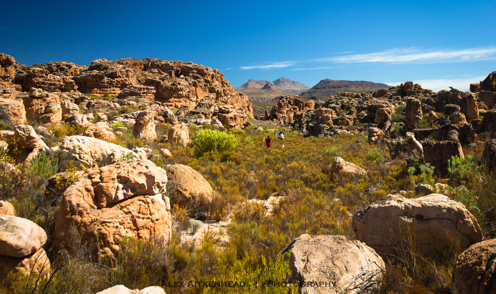 Cederberg, Wolfberg Arch, Wolfberg Cracks, Driehiek, Kromrivier, Sanddrif, Secret Cederberg, Mount Ceder, Truitjieskraal, Saalmanlagte, Savilla Rock Art Trail, Rocklands, Travellers Rest, Rock Climbing , San Rock Art, Maltese Cross, Dwars Revier, Groot Revier, Sanstone Rock Formations, Star Gazing, Cederberg Wilderness, Cape Nature Cederberg, Algeria,