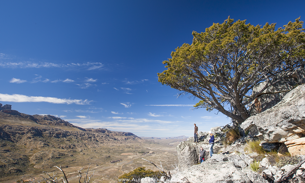 Cederberg, Wolfberg Arch, Wolfberg Cracks, Driehiek, Kromrivier, Sanddrif, Secret Cederberg, Mount Ceder, Truitjieskraal, Saalmanlagte, Savilla Rock Art Trail, Rocklands, Travellers Rest, Rock Climbing , San Rock Art, Maltese Cross, Dwars Revier, Groot Revier, Sanstone Rock Formations, Star Gazing, Cederberg Wilderness, Cape Nature Cederberg, Algeria, 