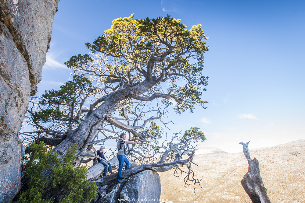 Cederberg, Wolfberg Arch, Wolfberg Cracks, Driehiek, Kromrivier, Sanddrif, Secret Cederberg, Mount Ceder, Truitjieskraal, Saalmanlagte, Savilla Rock Art Trail, Rocklands, Travellers Rest, Rock Climbing , San Rock Art, Maltese Cross, Dwars Revier, Groot Revier, Sanstone Rock Formations, Star Gazing, Cederberg Wilderness, Cape Nature Cederberg, Algeria,