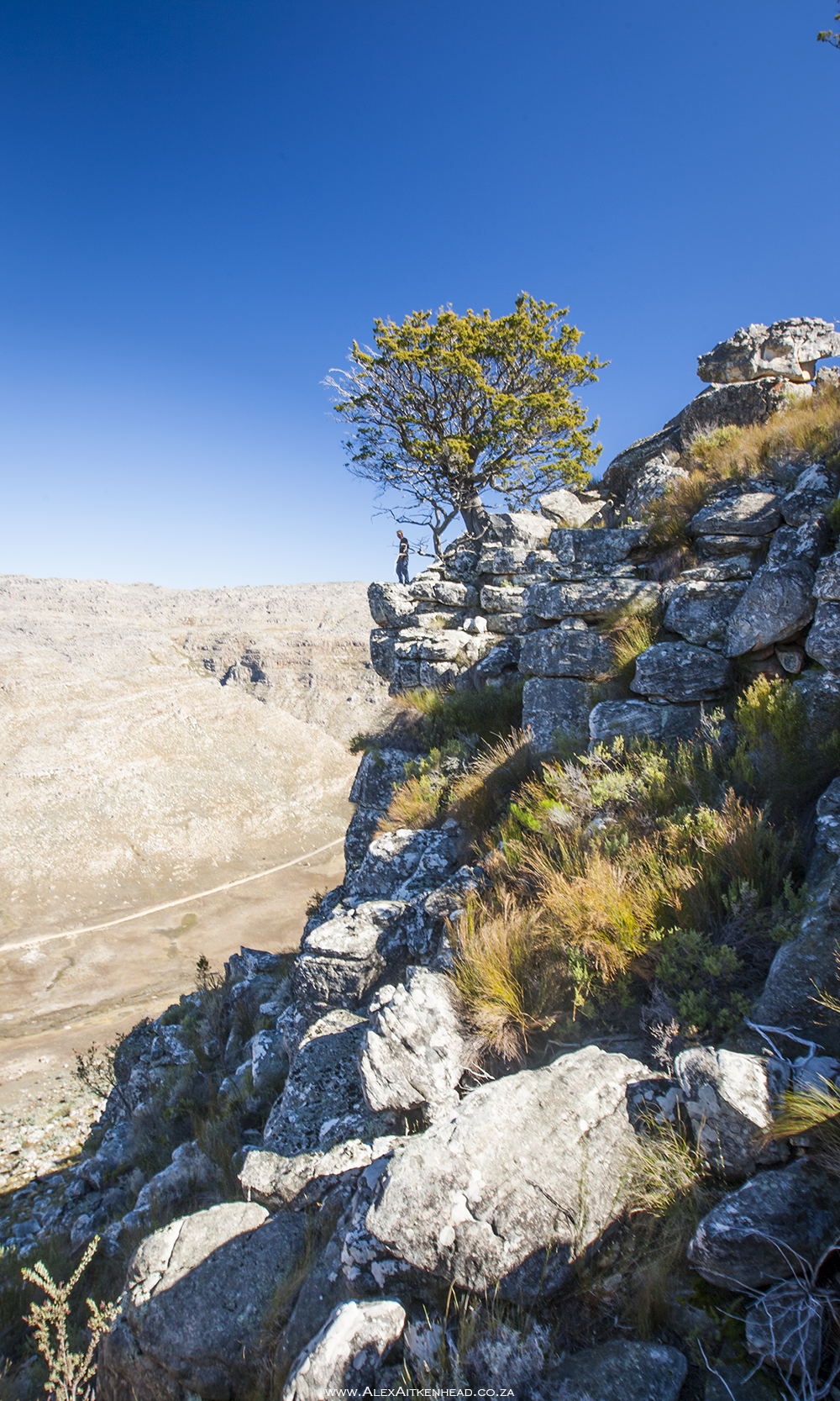 Cederberg, Wolfberg Arch, Wolfberg Cracks, Driehiek, Kromrivier, Sanddrif, Secret Cederberg, Mount Ceder, Truitjieskraal, Saalmanlagte, Savilla Rock Art Trail, Rocklands, Travellers Rest, Rock Climbing , San Rock Art, Maltese Cross, Dwars Revier, Groot Revier, Sanstone Rock Formations, Star Gazing, Cederberg Wilderness, Cape Nature Cederberg, Algeria, 