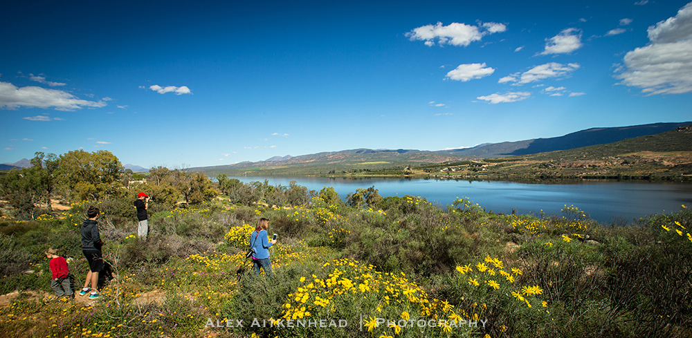 Cederberg, Wolfberg Arch, Wolfberg Cracks, Driehiek, Kromrivier, Sanddrif, Secret Cederberg, Mount Ceder, Truitjieskraal, Saalmanlagte, Savilla Rock Art Trail, Rocklands, Travellers Rest, Rock Climbing , San Rock Art, Maltese Cross, Dwars Revier, Groot Revier, Sanstone Rock Formations, Star Gazing, Cederberg Wilderness, Cape Nature Cederberg, Algeria,
